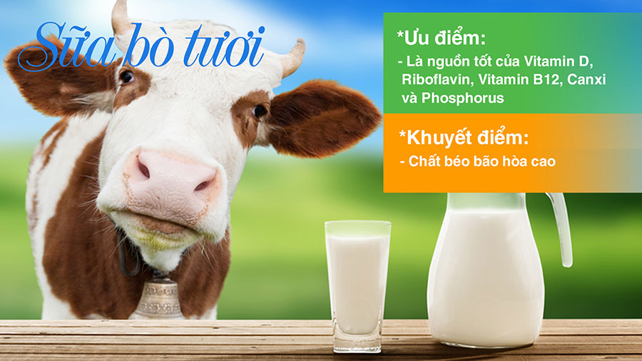 Giá trị dinh dưỡng của sữa bò tươi nguyên chất. Thực phẩm giàu Canxi