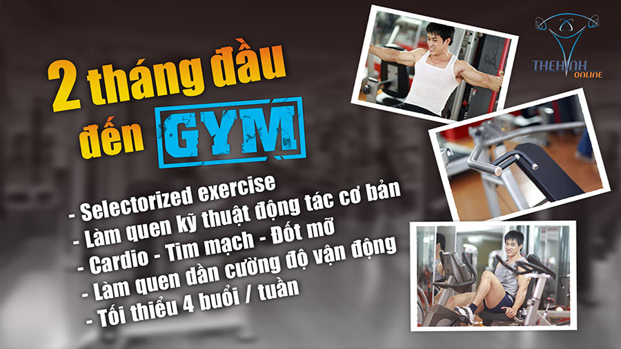 Lịch tập thể hình kiến thức dinh dưỡng dành cho người mới tập GYM