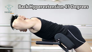 Back Hyperextension 45 Degree tập thể hình cơ lưng dưới