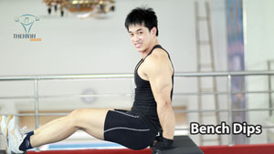 Bench Dips chống đẩy tập cơ tam đầu tay sau