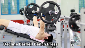 Decline Barbell Bench Press Tập Ngực Dưới Hiệu Quả