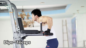 Dips Triceps Xà kép tập tay sau to khỏe