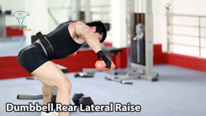 Dumbbell Rear Lateral Raise Tập Vai Sau