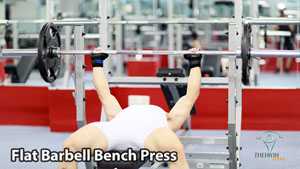 Flat Barbell Bench Press Đẩy Ngực Tạ Đòn Ghế Phẳng
