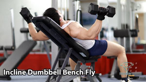 Incline Dumbbell Bench Fly Ép ngực trên ghế dốc lên