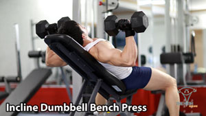 Incline Dumbbell Bench Press Tập Ngực Trên