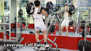 Leverage Calf Raise Nhón Bắp Chân Mạnh Mẽ