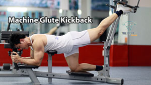 Machine Glute Kickback Tập Mông Hoàn Hảo