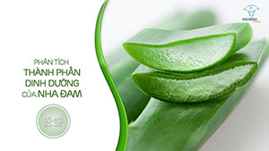 Thảo luận vui về Nha đam, ý tưởng phim ca nhạc THOL