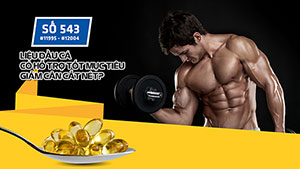 Hỏi đáp thể hình 543 - Làm thế nào để có một thân hình đẹp?