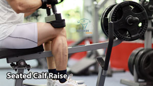 Seated Calf Raise Nhón bắp chân bắp chuối