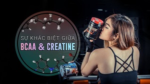 Khác biệt giữa BCAA và CREATINE, loại nào giúp tăng cơ?-THOL