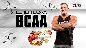 BCAA là gì ? Tác dụng của BCAA trong việc tập Gym - THOL