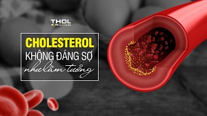 Cholesterol và bệnh tim mạch liên quan như thế nào ? - THOL