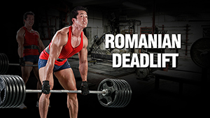 MaxOT - Romanian Deadlift – Lưng Mông Đùi Mạnh mẽ - THOL