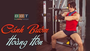 Butterfly - Cánh bướm hoàng hôn, ép ngực trong to dày - THOL