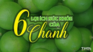 6 điều kì diệu mà chanh đem đến cho sức khỏe chúng ta - THOL