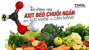 Axit béo chuỗi ngắn - Tác động của nó đến sức khỏe - THOL
