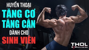 Tăng cân Tăng cơ cho sinh viên - Thoát gầy làm giàu - THOL