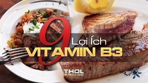 Vitamin B3 là gì? Công dụng, lợi ích của nó trong Gym - THOL