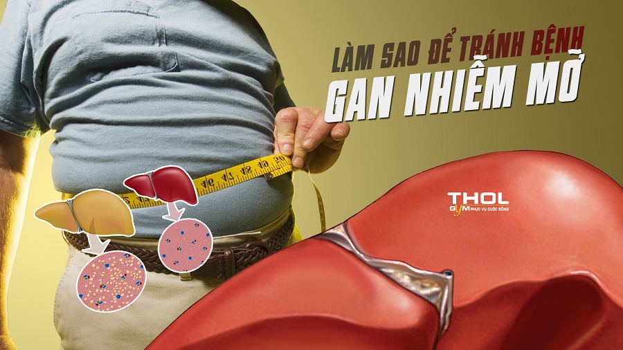 Gan nhiễm mỡ - Nguyên nhân gây bệnh và cách phòng tránh - THOL