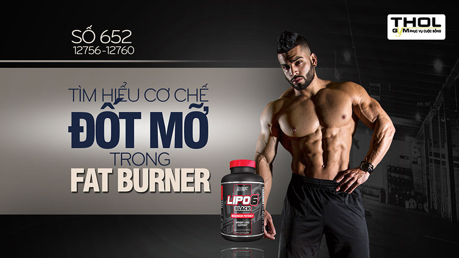 Hỏi đáp thể hình 652 - Liệu tập Gym có thay đổi giới tính? - THOL