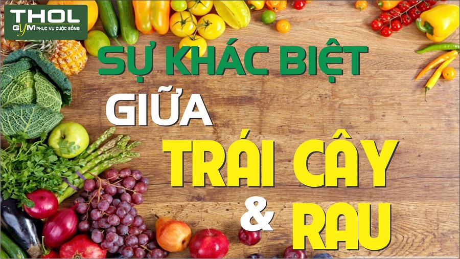 Phân biệt TRÁI CÂY và RAU CỦ - Loại nào nhiều dinh dưỡng hơn ? - THOL