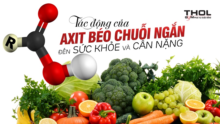 Axit béo chuỗi ngắn là gì ? Tác động của nó đến sức khỏe Gymer - THOL