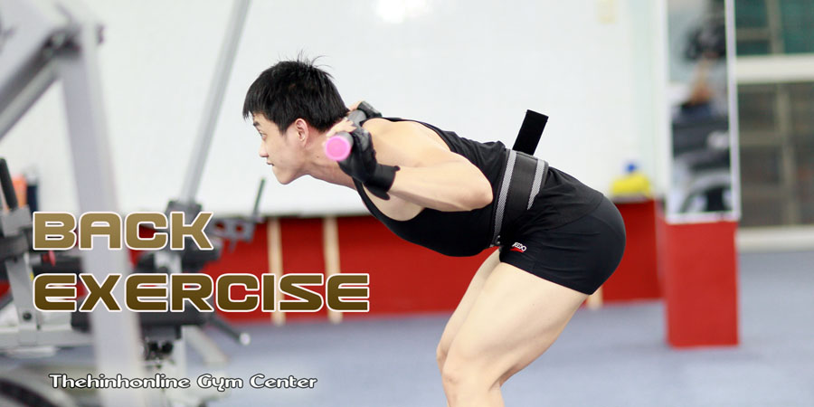 Những bài tập thể hình GYM fitness cơ lưng xô cần thiết hiệu quả