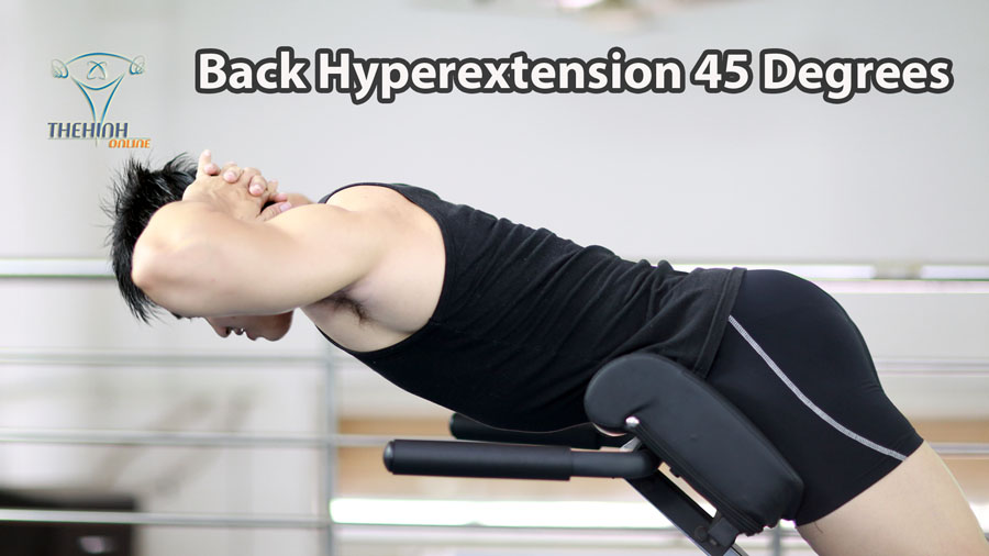 Back Hyperextension 45 Degree tập thể hình cơ lưng dưới hay đơn giản