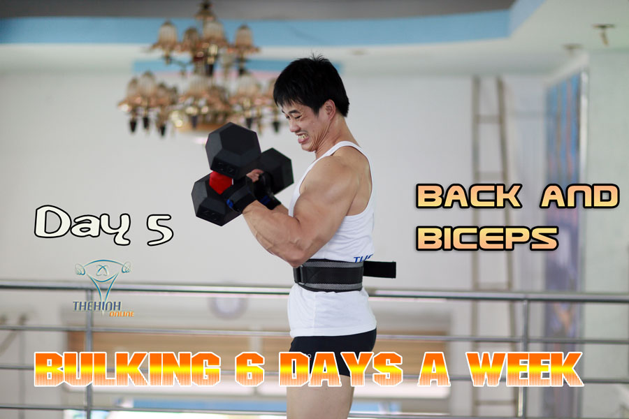Buổi 5 Lưng xô tay trước thuộc giáo án thể hình tăng cơ 6 buổi 1 tuần