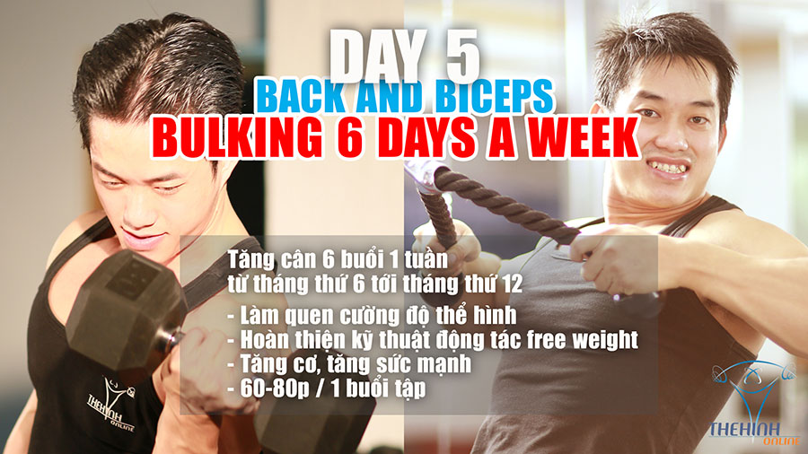 Chương tình tập luyện thể hình tăng cơ nhanh bulking tốt 6 buổi 1 tuần