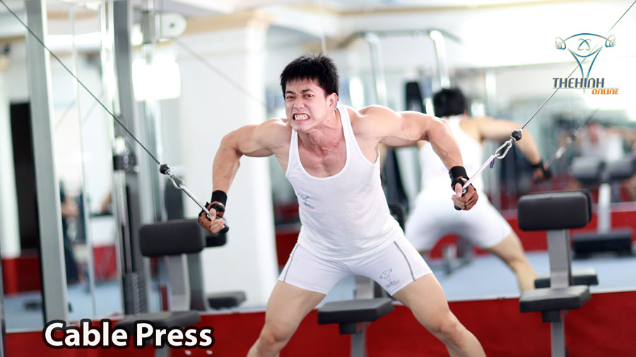 Cable Press Đẩy ngực với cáp đúng kỹ thuật thể hình dày ngực trong