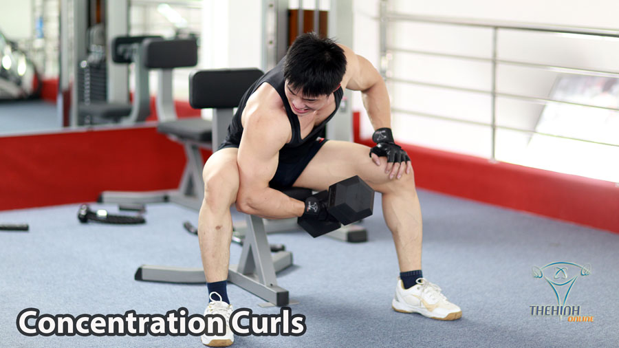 Concentration Curl Cuốn tạ tập trung tập thể hình tay trước hiệu quả
