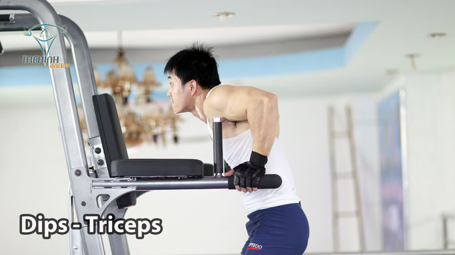 Dips Triceps Xà kép tập tay sau to khỏe mạnh đúng kỹ thuật
