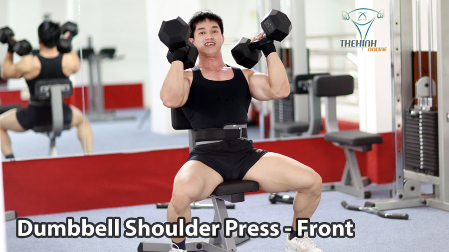Dumbbell Shoulder Press Tập Thể Hình Cơ Vai Trước Tạ Đôi Hiệu Quả