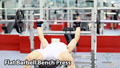 Flat Barbell Bench Press Đẩy Ngực Tạ Đòn Ghế Phẳng