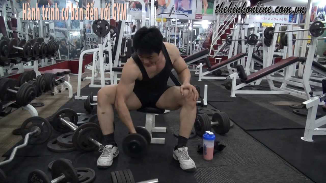 Thể hình GYM Fitness Khái niệm về phục hồi cơ bắp