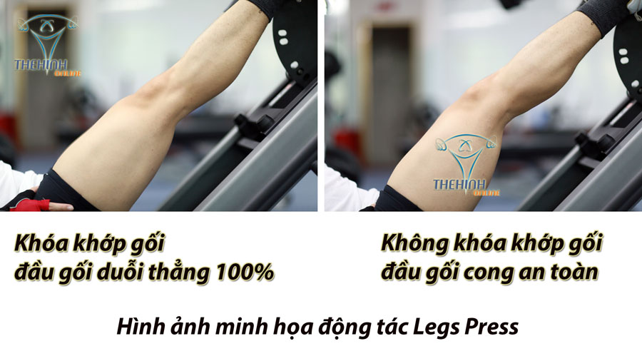Khóa khớp gối, khóa khớp chân trong tập luyện thể hình tập GYM