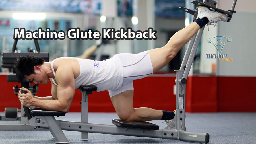Machine Glute Kickback Tập Mông săn chắc vòng 3 căng tròn hoàn hảo