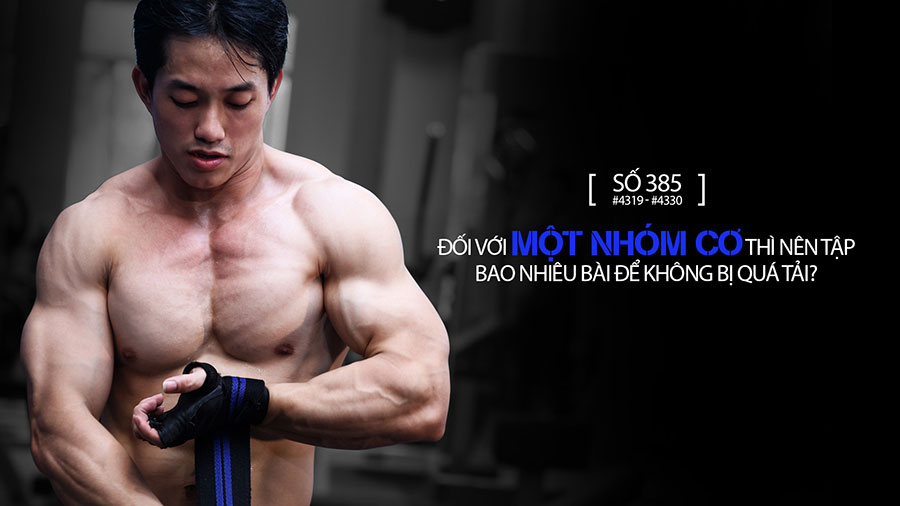hỏi đáp thể hình 385, tập bụng, media team, bụng dưới