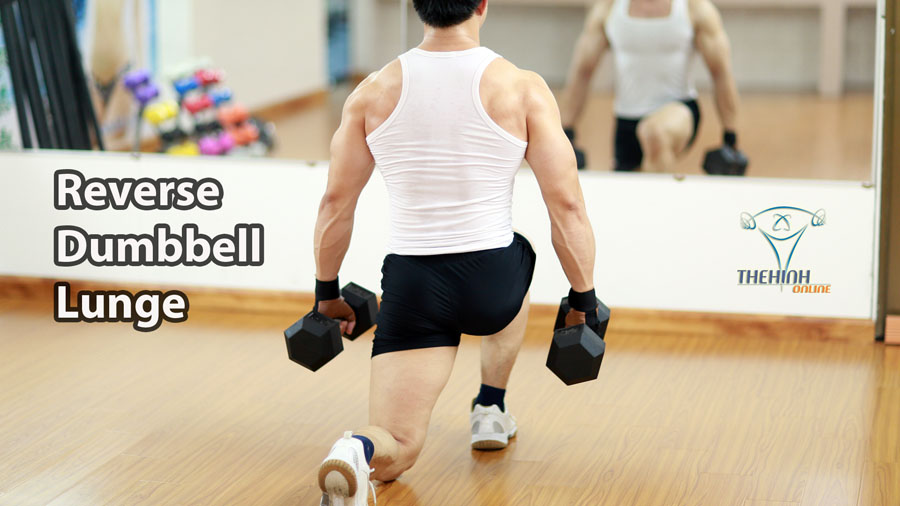 Reverse Dumbbell Lunge cầm tạ bước lui cắt nét cơ mông đùi hiệu quả thể hình