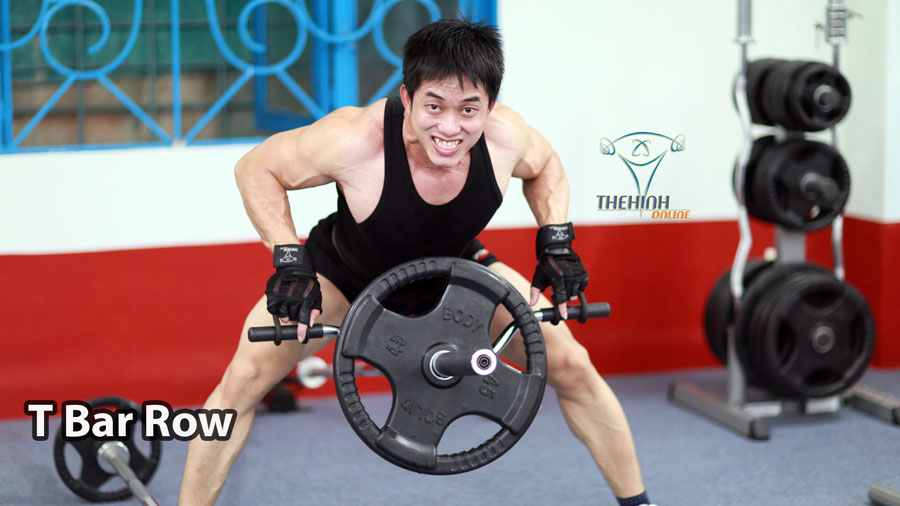 T Bar Row Bài tập thể hình mạnh mẽ Lưng Xô to khỏe Middle Back GYM