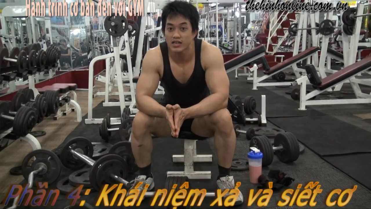 Thể hình GYM Fitness Khái niệm xả cơ, siết cơ