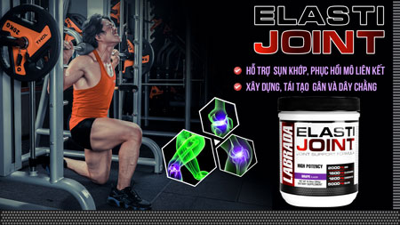 Phân tích Elasti Joint phục hồi xương khớp