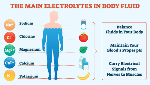 Chất điện giải Electrolytes quan trọng ra sao?