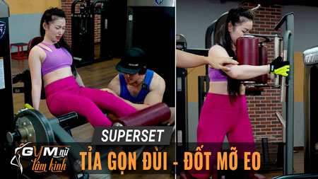 Superset Leg Extension Rotary Torso