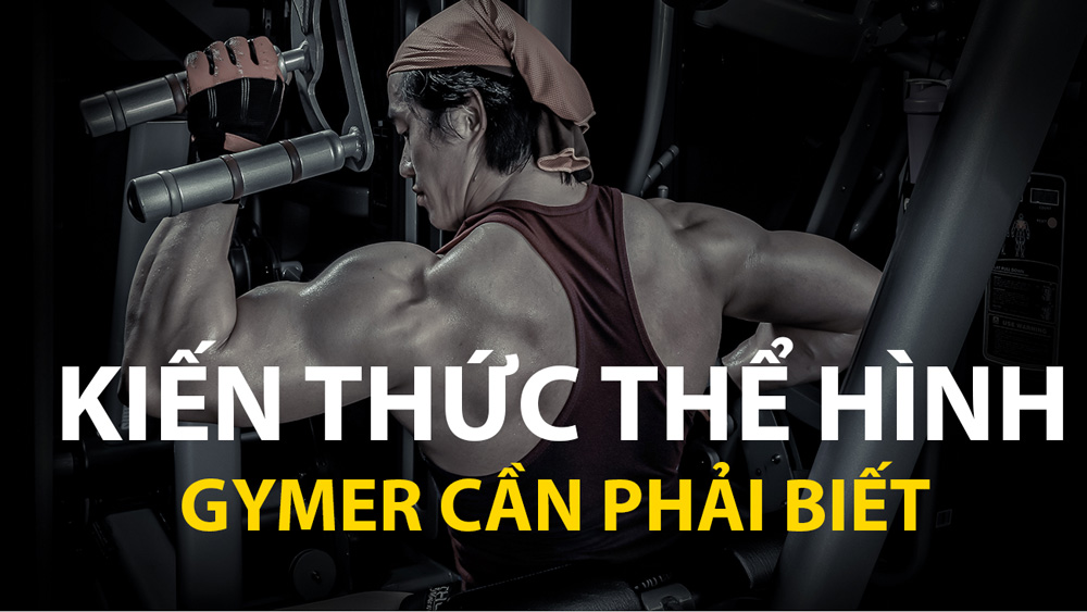 Kiến thức thể hình, dinh dưỡng, kỹ thuật tập gym nâng cao