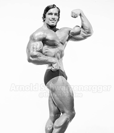 ARNOLD SCHWARZENEGGER
