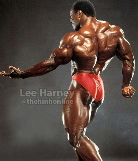 LEE HARNEY